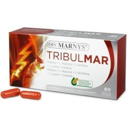 TRIBULMAR 60CAPS MARNIS