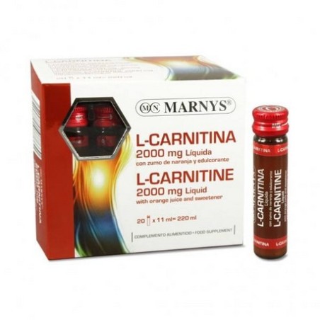 L-CARNITINA 2.000MG AMP.MARNYS