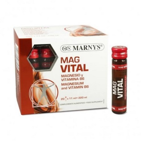 MAG VITAL 20-VIALES MARNYS