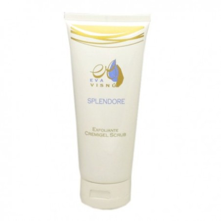 SCRUB CREMIGEL EXFOLIANTE FACIAL 200ML EVA VISNU