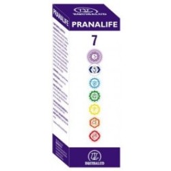 PRANALIFE Nº7  XSALUD