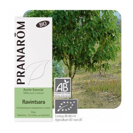 RAVINTSARA A/E 10ML PRANAROM