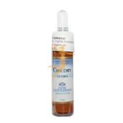 CHICORY (ACHICORIA) 10 ML FIORI DEL  MEDITERRANEO