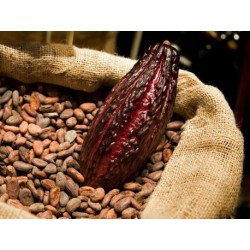 CACAO PURO DESGR ECO 1-K C/J