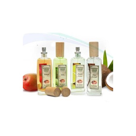 AMBIENTADOR CHICLE 100ML S&S
