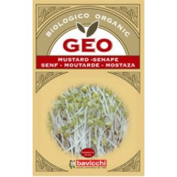 MOSTAZA GERMINAR GEO