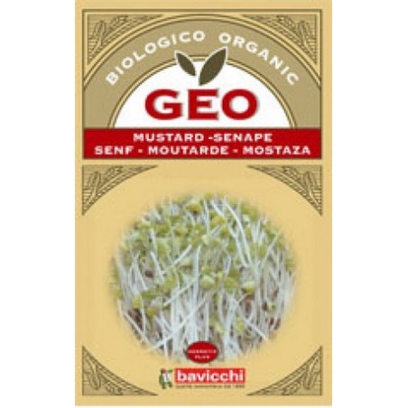 MOSTAZA GERMINAR GEO