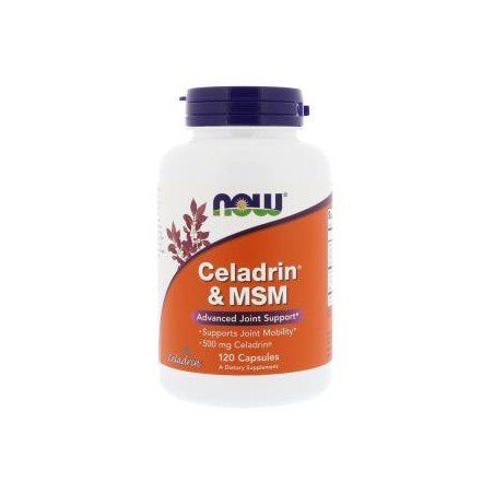 CELADRIN PLUS MSM 120CAP NOW
