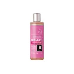 CHAMPU ABEDUL 500ML URTEKRAM