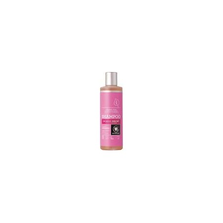 CHAMPU ABEDUL 500ML URTEKRAM