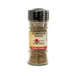 COMINO GRANO LA DALIA