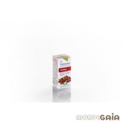 ESENCIA SANDALO 5ML INTERSA
