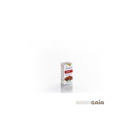 ESENCIA SANDALO 5ML INTERSA