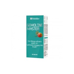 GEMOLINE MASTER YNSADIET