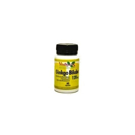 GINKGO BILOBA 60MG 120C VBYOTICS