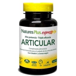 ARTICULAR NATURE'S PLUS
