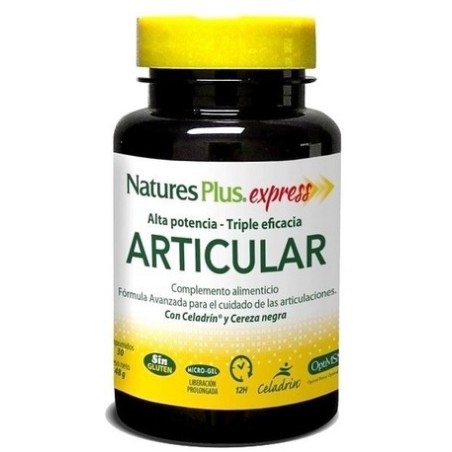 ARTICULAR NATURE'S PLUS