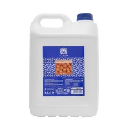 VALQUER CHAMPU MANDARINA SIN SAL 5000 ML