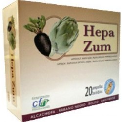 HEPA ZUM 20STICKS BEBIBLES CFN