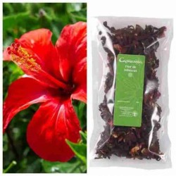 HIBISCO FLOR 1K DIPLAN
