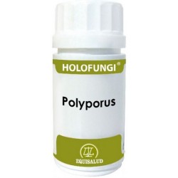 HOLOFUNGI POLYPORUS 50CAPS
