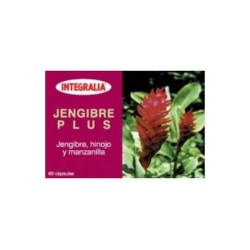 JENGIBRE PLUS 60CAP INTEGRALIA