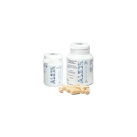ALZER 500 MG 90 CAPSULAS