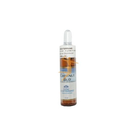 CHESTNUT BUD (BROTE DE CASTAÑO) 10 ML FIORI DEL MEDITERRANEO