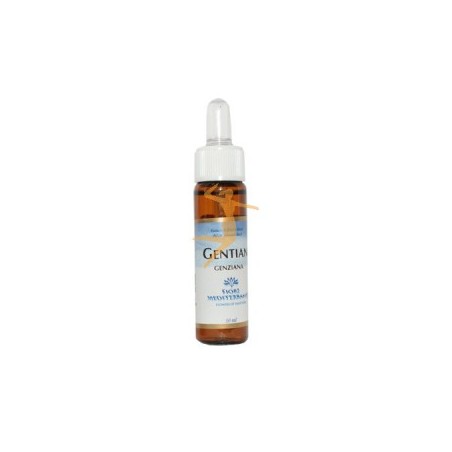 GENTIAN (GENCIANA) 10 ML  FIORI DEL  MEDITERRANEO