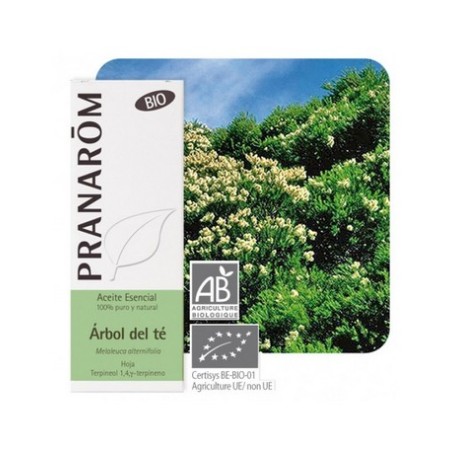 ARBOL DEL TE HOJA 10 ML PRANAROM