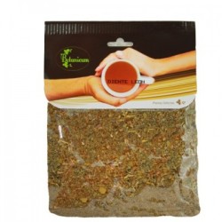DIENTE LEON 40 GR BOTANICUM