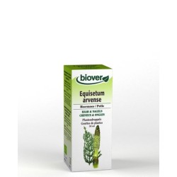 EQUISETUM ARVENSE  50 ML BIOVER