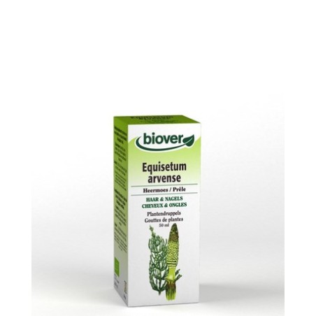 EQUISETUM ARVENSE  50 ML BIOVER