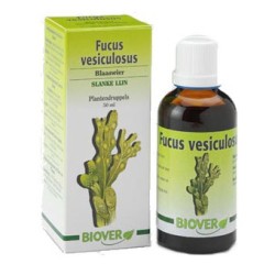 FUCUS VESICULOSUS 50 ML BIOVER