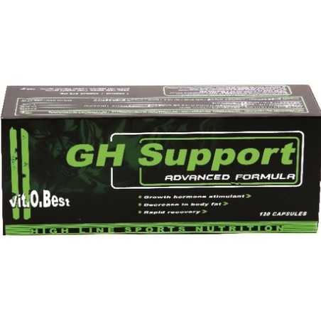 GH SUPPORT 240 CAPSULAS