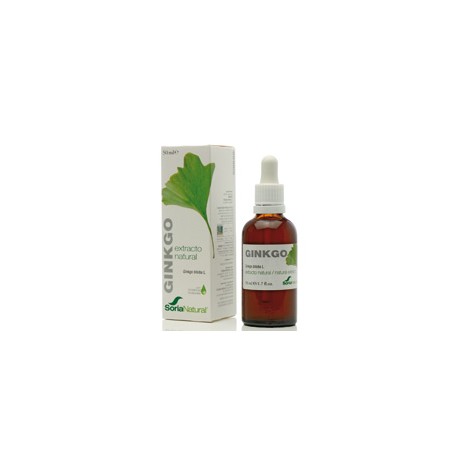 GINKGO BILOBA EXTRACTO S XXI 50 ML