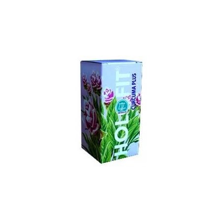 HOLOFIT CURCUMA PLUS  180 CAPSULAS