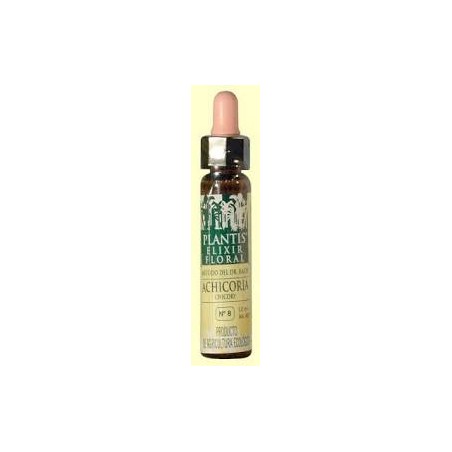 PLANTIS 8 ACHICORIA 10 ML