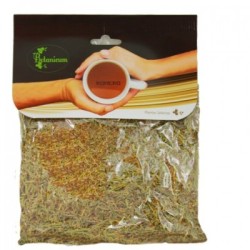 ROMERO 60 GR BOTANICUM