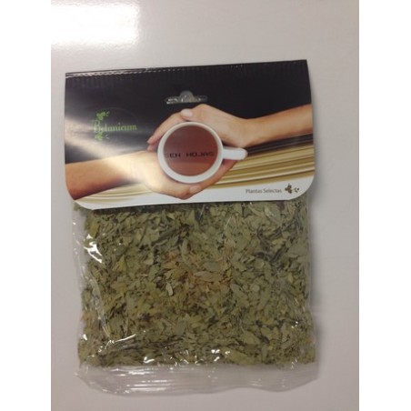 SEN HOJAS 40 GR BOTANICUM