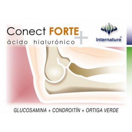 CONECT FORTE 60CAP INTERNATURE