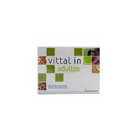 VITTAL IN ADULTOS RENOVADO 20 Viales
