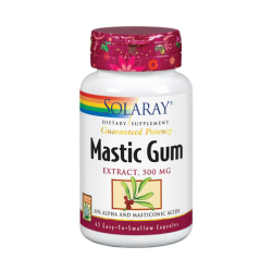 MASTIC GUM 500 MG - 45 CÁPSULAS VEGETALES