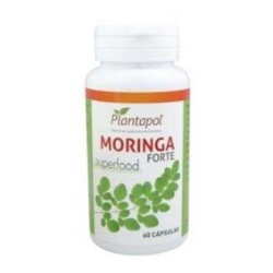 MORINGA FORTE 60CAP PLANTAPOL