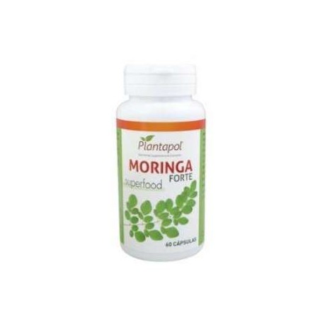 MORINGA FORTE 60CAP PLANTAPOL