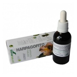 HARPAGOPHITO EXTRACTO S XXI 50 ML