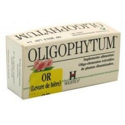 OLIGOPHYTUM ORO