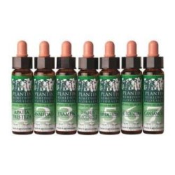 PLANTIS DESCANSO NOCTURNO 8 10ML