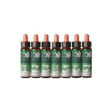 PLANTIS DESCANSO NOCTURNO 8 10ML