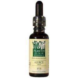 PLANTIS FLOR 19 LARCH ALERCE  10ML